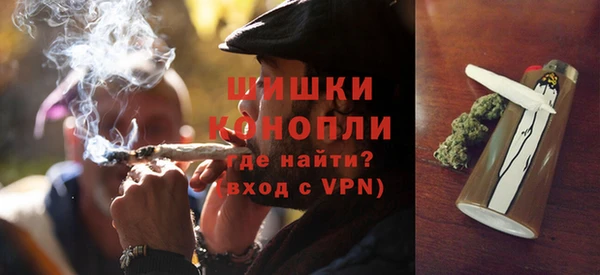 ПСИЛОЦИБИНОВЫЕ ГРИБЫ Бородино