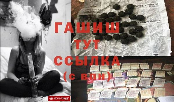 ПСИЛОЦИБИНОВЫЕ ГРИБЫ Бородино