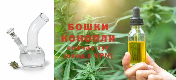 стаф Бронницы