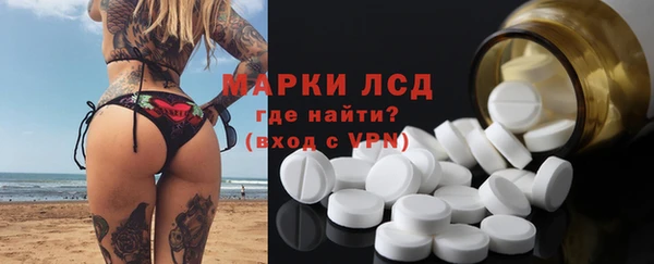 ПСИЛОЦИБИНОВЫЕ ГРИБЫ Бородино