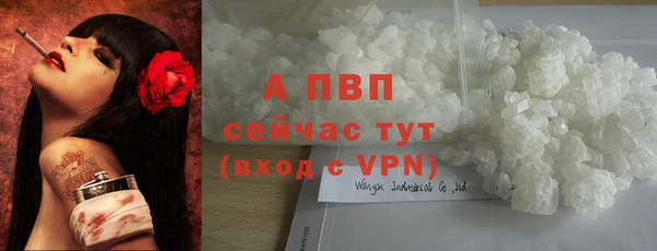 кокс Богородицк