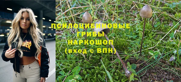 ПСИЛОЦИБИНОВЫЕ ГРИБЫ Бородино