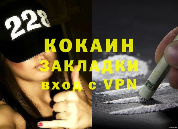 ПСИЛОЦИБИНОВЫЕ ГРИБЫ Бородино