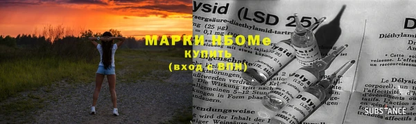 ПСИЛОЦИБИНОВЫЕ ГРИБЫ Бородино