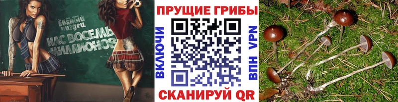 omg ONION  Смоленск  Галлюциногенные грибы MAGIC MUSHROOMS 